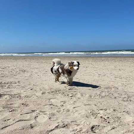 By The Egmond Dunes